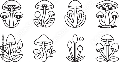 Eight unique mushroom and plant line art illustrations