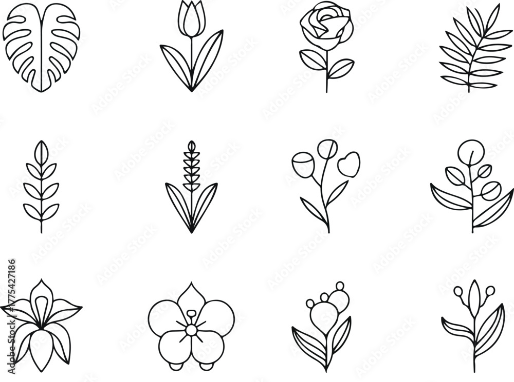 Fototapeta premium Hand Drawn Botanical Elements Collection floral leaf