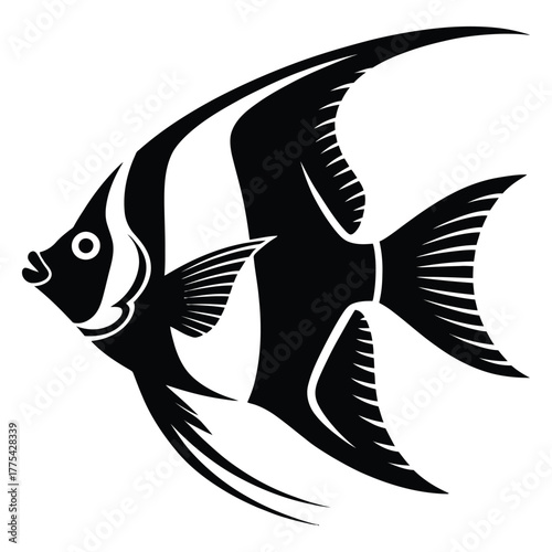 Black and white silhouette of a striking angelfish