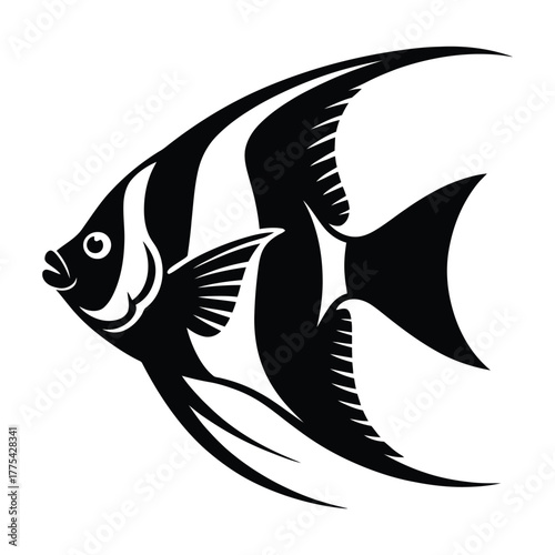 Silhouette of a black and white angelfish