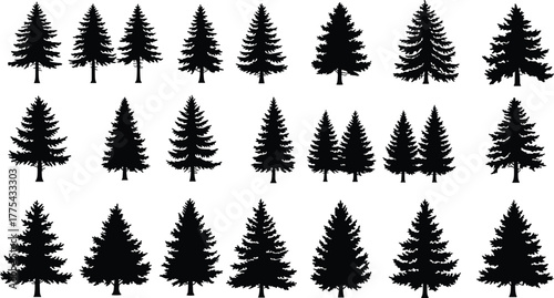 Black pine tree silhouette set, evergreen forest conifer collection, nature vector illustration pack, fir tree design elements for landscape, decoration, and outdoor scenery artwork