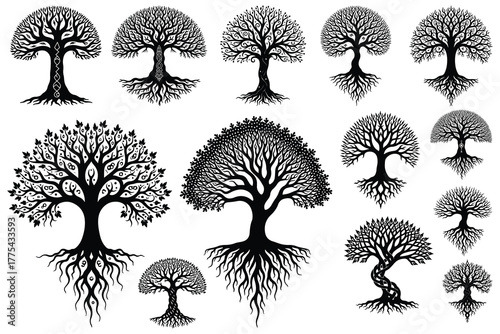 Collection of black stylized trees with intricate roots and branches