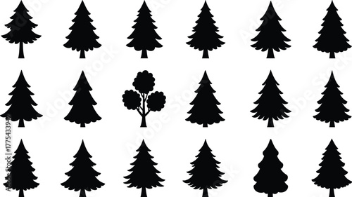 Black silhouette pine tree vector collection, evergreen forest illustration set, natural woodland shapes, conifer tree design elements for winter and Christmas themes