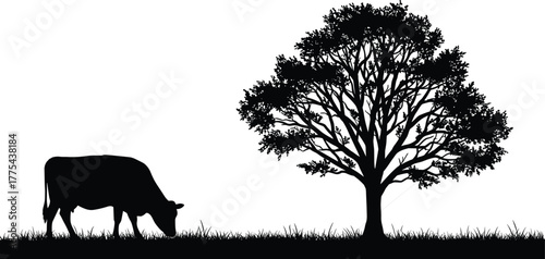 Black silhouette cow grazing under large tree, pastoral countryside scene, grass foreground, tranquil rural vector illustration for agriculture, nature and farming design