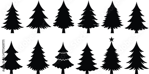 Silhouette collection of pine trees and fir trees vector illustration, black forest tree shapes set, Christmas and nature design elements