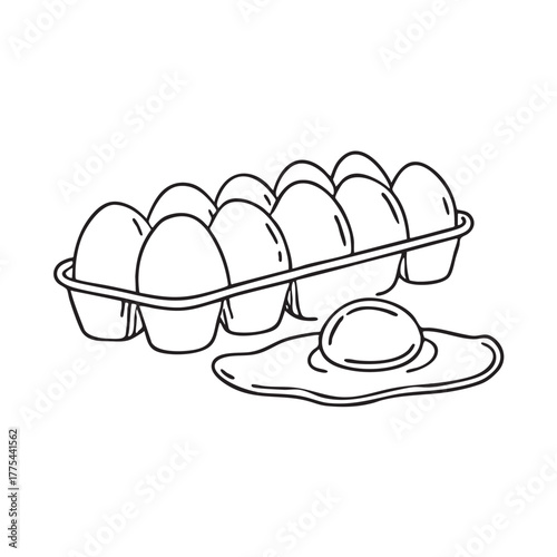 A yolk placed near a carton containing leftover eggs