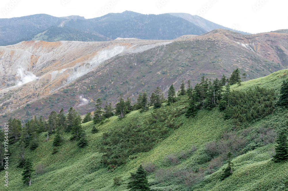 Obraz premium 火口壁と噴気が立ちのぼる草津白根山の景色