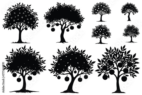 Collection of black fruit trees with apples and blossoms