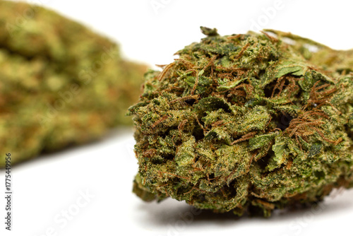 Marijuana flowers isolated on white background