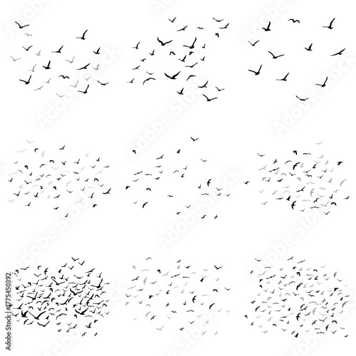 Flock of flying bird silhouettes. Large set. Black on a white background. Includes swallows, pigeons, and doves in minimalist styles.