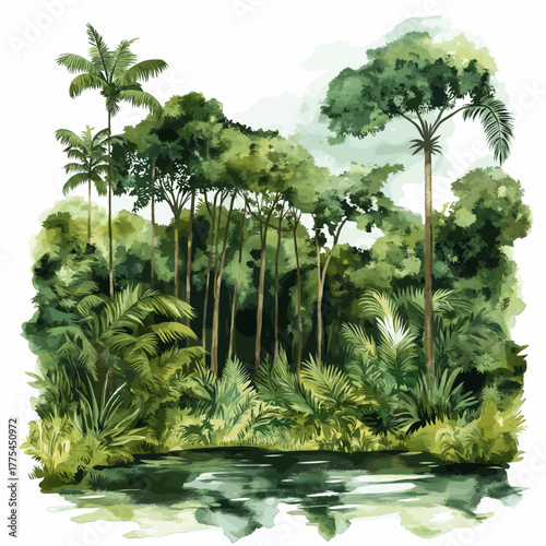 Amazon rainforest. Amazon rainforest hand drawn watercolor illustration