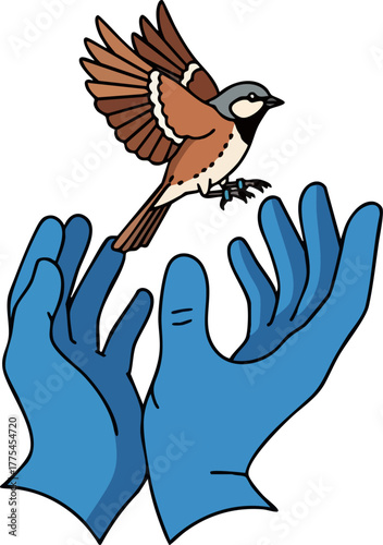 A bird takes flight from protective hands wearing blue gloves.