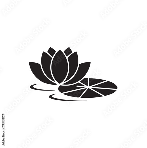 water lily 13.eps