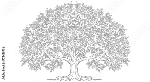 Intricate illustration of a tree with a full canopy, detailed leaves, and visible roots.