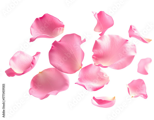 Wallpaper Mural Scattered delicate pink rose petals isolated on a stark black background for romantic decoration Torontodigital.ca