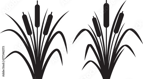 Two tall cattail reeds growing in a marshy wetland silhouette