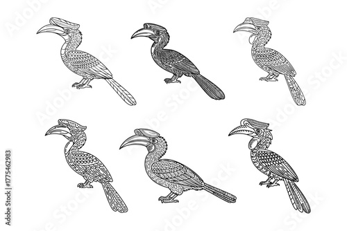 Elegant Hornbill Collection Detailed Line Art Set of Tropical Birds for Creative Projects
