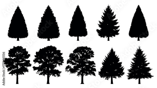 Collection of black tree silhouettes on white background