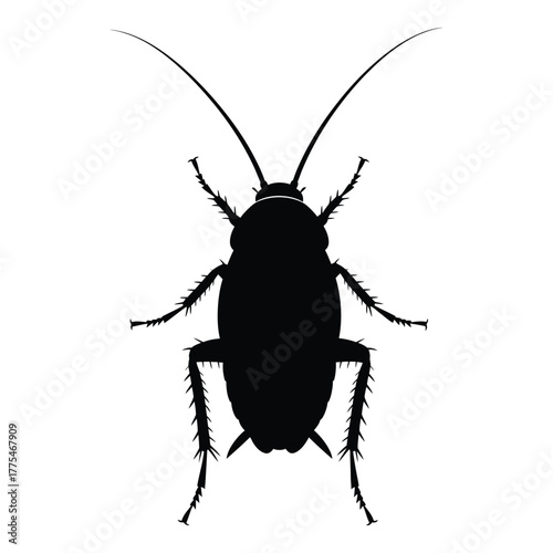 Black silhouette illustration of a detailed cockroach viewed from directly above, showcasing its antennae, legs, and segmented body, ideal for pest control concepts or scientific diagrams.