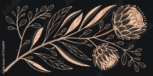 Elegant protea flower and foliage illustration in a handdrawn style with a rose gold color palette