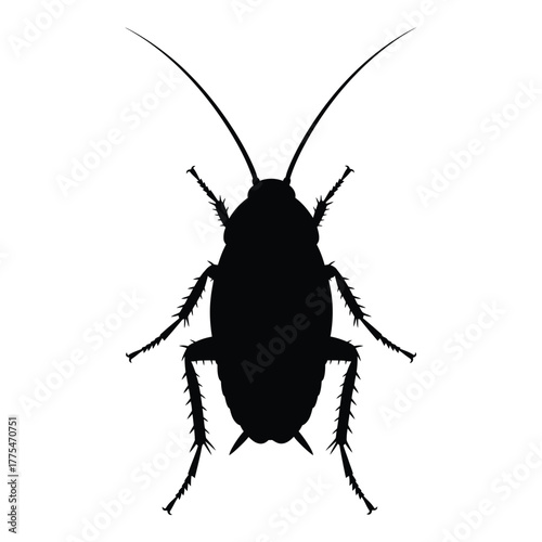 Silhouette of a cockroach, a common insect, viewed from above, detailed illustration, often associated with pest control and unsanitary conditions, representing unwelcome presence and infestation.