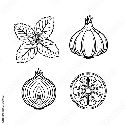 Illustration of mint leaves, onions, garlic and lemon slices on white background, concept of nutrition balance, health, and healthy habits, mindful eating, wellness  