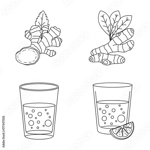 Ginger root and fresh leaves with glass of fizzy drink and lemon  