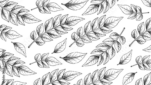 Wooden Engraving Curry Leaves in White Background