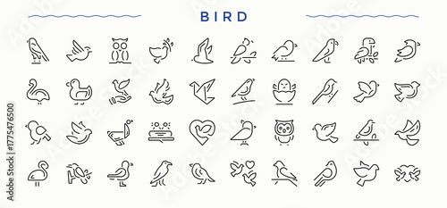 Bird icon collection. Fly icon set. Thin UI icons. It contains symbols to fly, animal and more. Editable stroke. Vector collection.