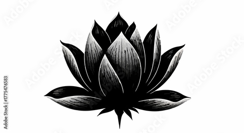 Elegant black lotus flower illustration with delicate petal detail.