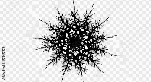 Intricate black snowflake silhouette against a transparent background, symbolizing winter's delicate beauty.