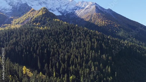 A mountain range with trees and snow