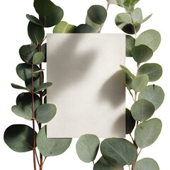 Eucalyptus leaves frame blank white card mockup