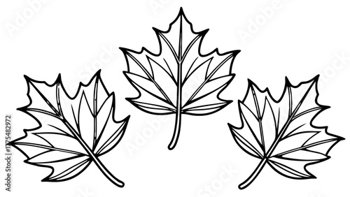 Vector illustration of maple autumn leaves border, wave of falling leaves in motion, isolated on transparent background