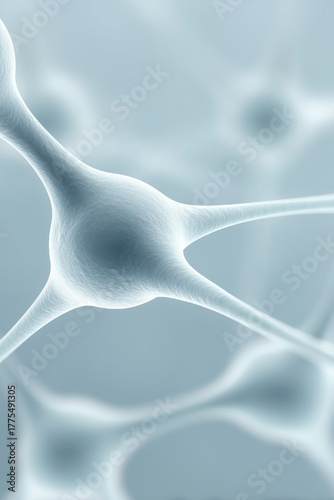 A close up of a bunch of gray and white neurons. The image is of a brain, and the neurons are shown in a 3D perspective. The neurons are connected to each other, and they are all different sizes