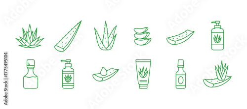 A flat line icon of aloe vera.