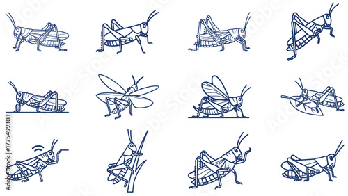 Grasshopper Line Art Stroke Icons In Jump Poses, Orthoptera Outline Vector Set For Farm, Meadow And Biology Graphics