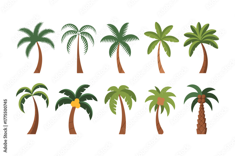 Obraz premium Tropical Palm Trees Collection