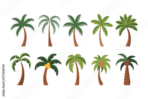 Tropical Palm Trees Collection