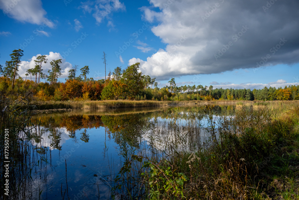 Obraz premium lake in autumn