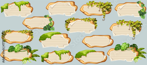 Set isolated wooden elements with blank, with school page in line, ragged graph paper.  Wooden signboards with old paper, stems ivy, liana, grapes, vine, swamp moss, forest lichen. 