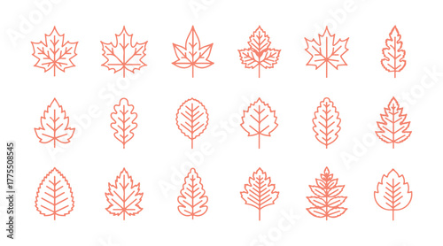 Icon set of thin line style leaves