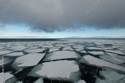 Sea ice in the Barents Sea near Franz Josef Land in summer 