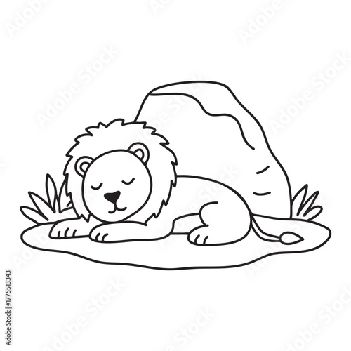 A lion dozing near a rock in the zoo