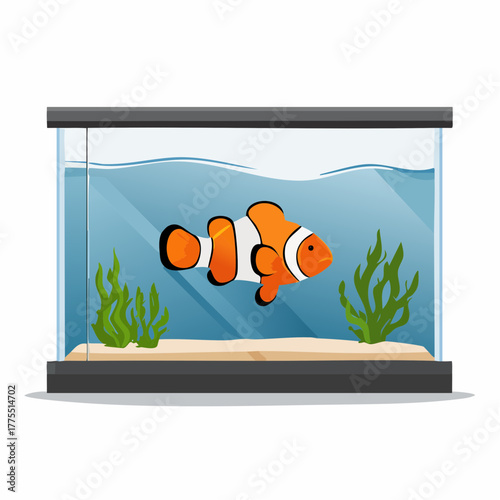 A bright, orange and white clownfish swims horizontally near the bottom of a completely clear tank.