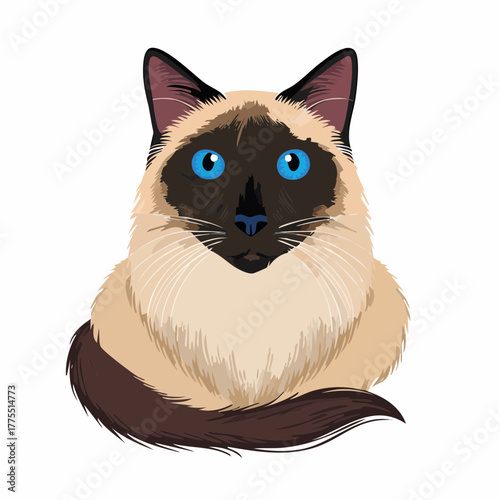A majestic, long-haired siamese cat sits poised, its distinctive dark mask and blue eyes staring directly.