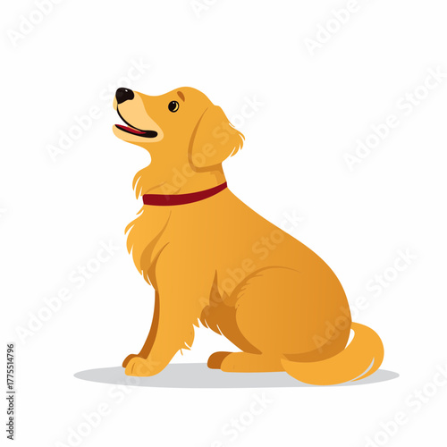 A playful golden retriever sits on a white background, wagging its tail and looking up with bright eyes.