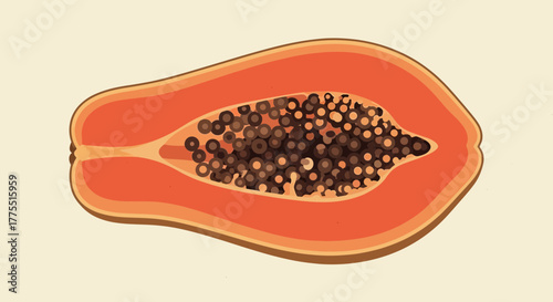 Stylized vector illustration of halved papaya with seeds, tropical vibe