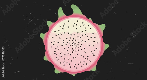 Illustration of dragon fruit, pink fruit with black seeds and green skin