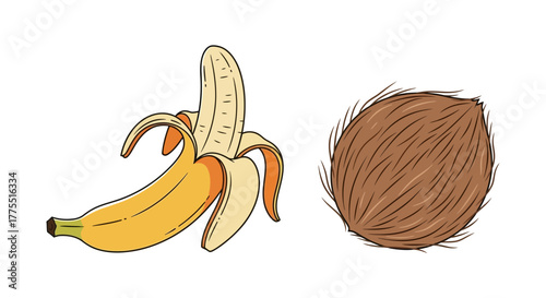Illustrated banana half-peeled alongside textured whole coconut illustration